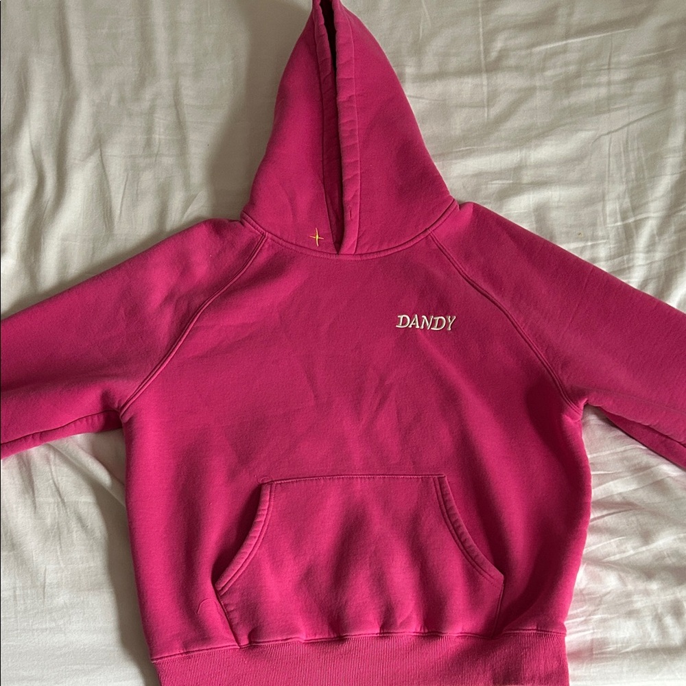Dandy Worldwide “Physical Touch” Luxury Pink Hoodie